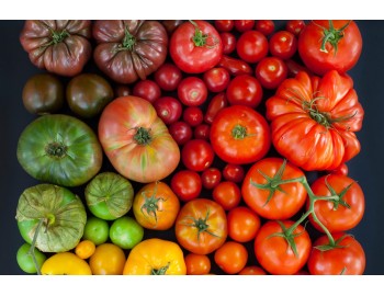 4 сорта помидоров, которые идеально подойдут для вас