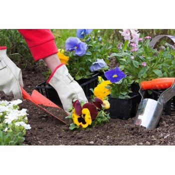 8 бюджетных советов которые помогут вам в саду